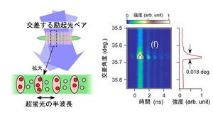 共振器フリーで光の伝搬モードを制御可能な新手法の開発に成功～超蛍光の量子性の解明に向けて大きく前進～