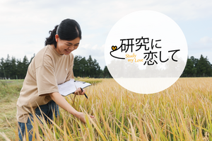 食料危機と気候危機の解決につながる微生物を追い、今日も圃場へ―農・迫田助教、茨大生として取り組み始めた研究が世界の耳目を集める発見へ